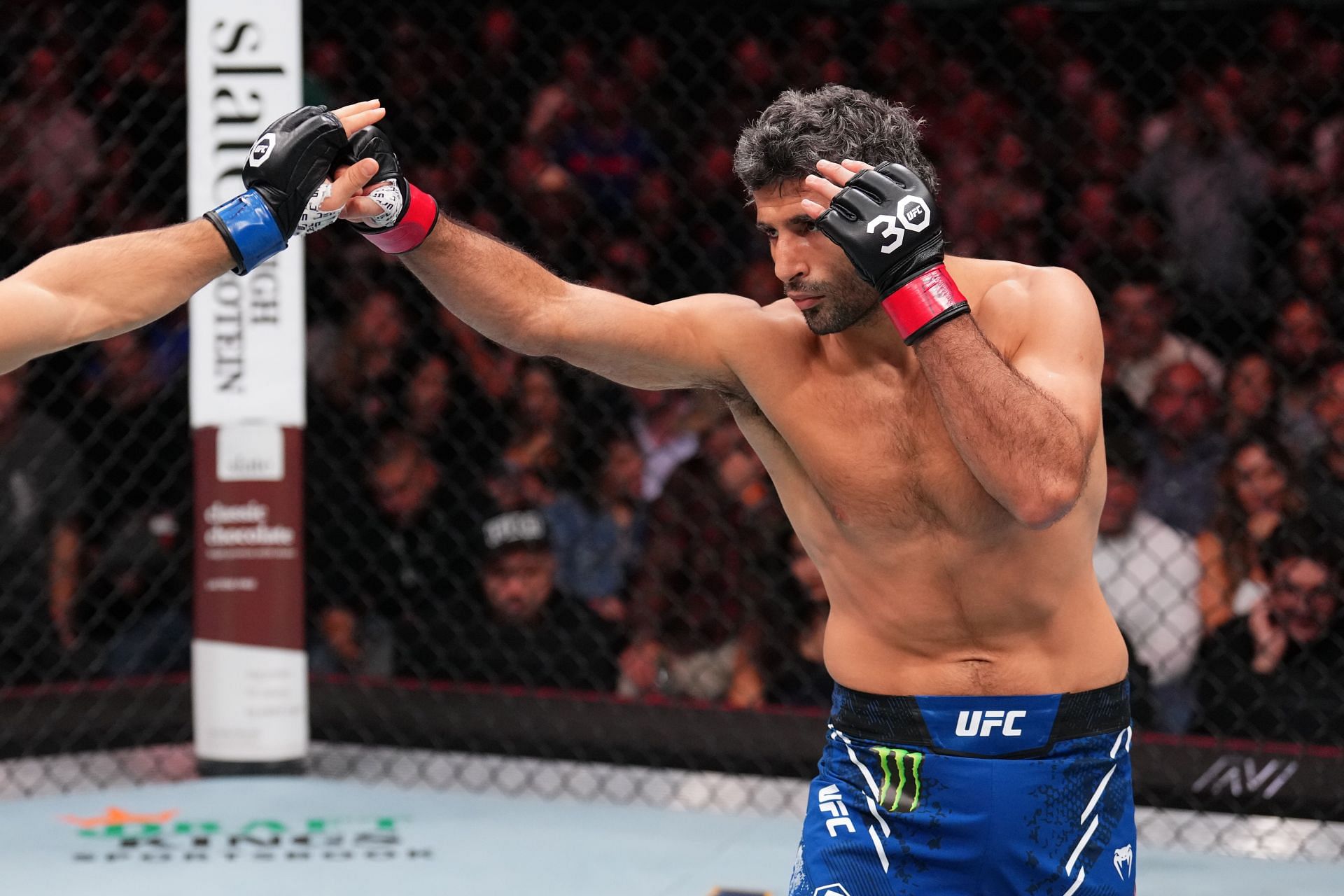 UFC Fight Night: Dariush v Tsarukyan